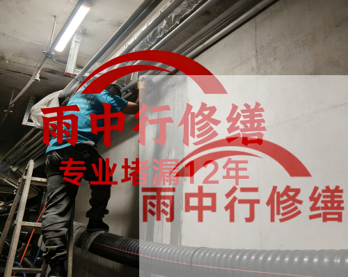 金山电缆线空洞堵漏加固案例