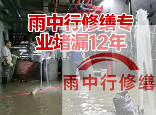 金山中国五矿某大型污水处理厂堵漏案例